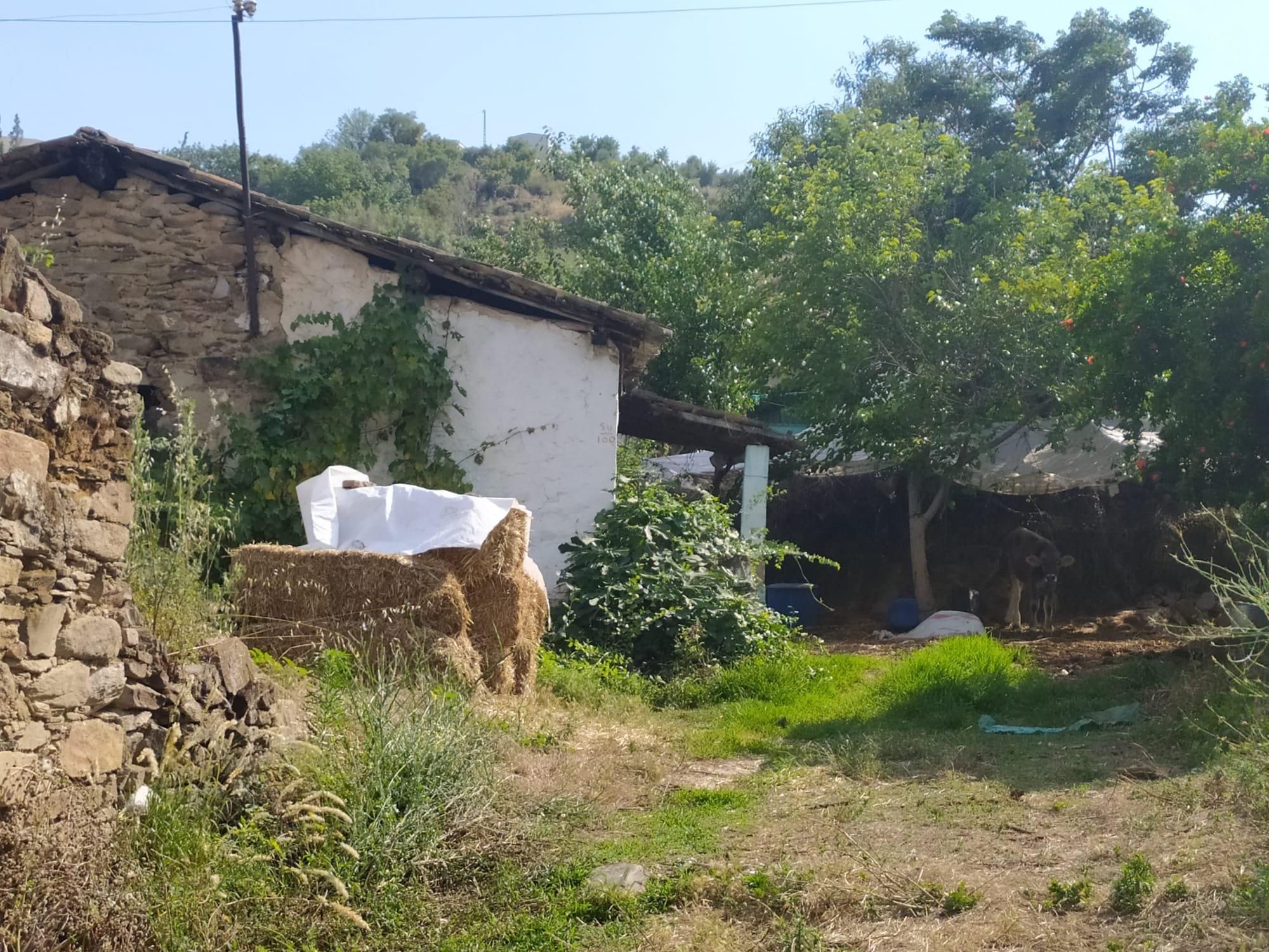 HAYALLERİNİZDEKİ MÜSTAKİL YAŞAM ARMUTLU’DA SİZİ BEKLİYOR!